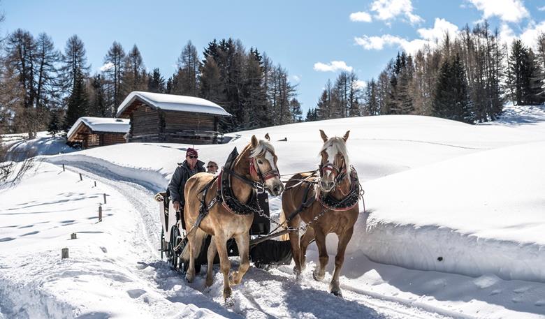 Sleigh rides on Europe's largest alpine pasture