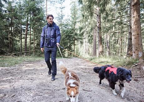 Ein Mann spaziert mit zwei Hunden durch den Wald