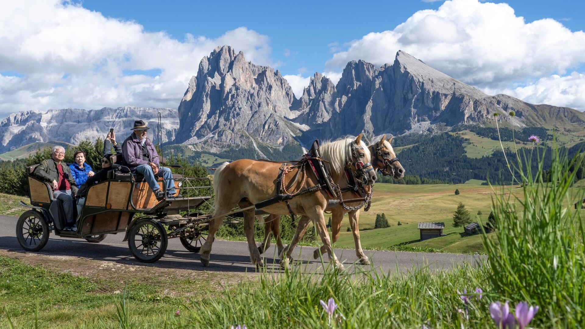 Un gruppo di persone percorre un sentiero sull’Alpe di Siusi in carrozza trainata da cavalli
