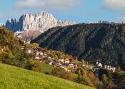 Tiers am Rosengarten