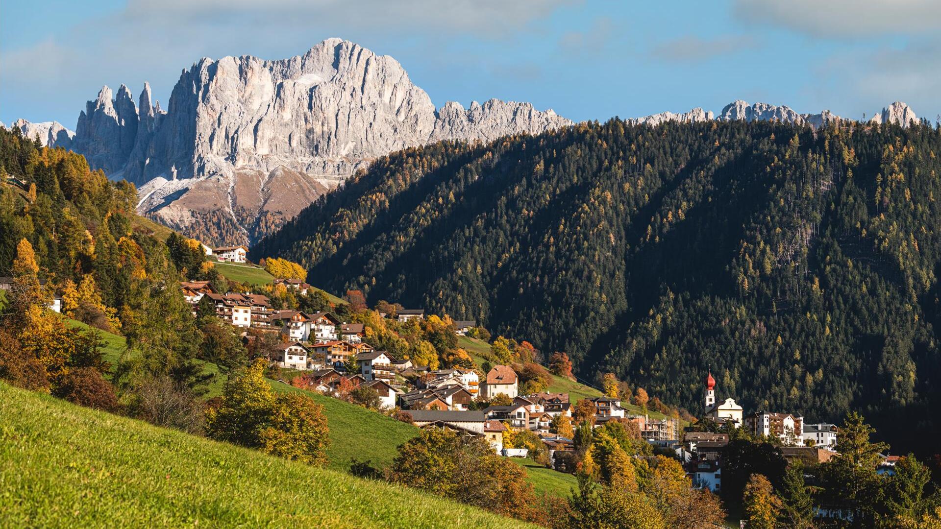 Tiers am Rosengarten