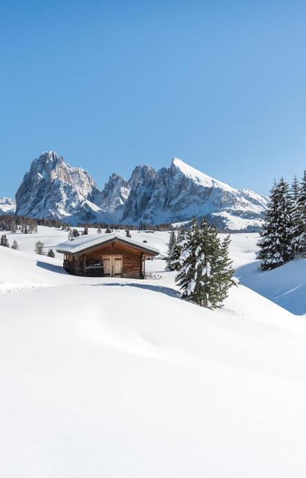 Vacanze invernali sull'Alpe di Siusi