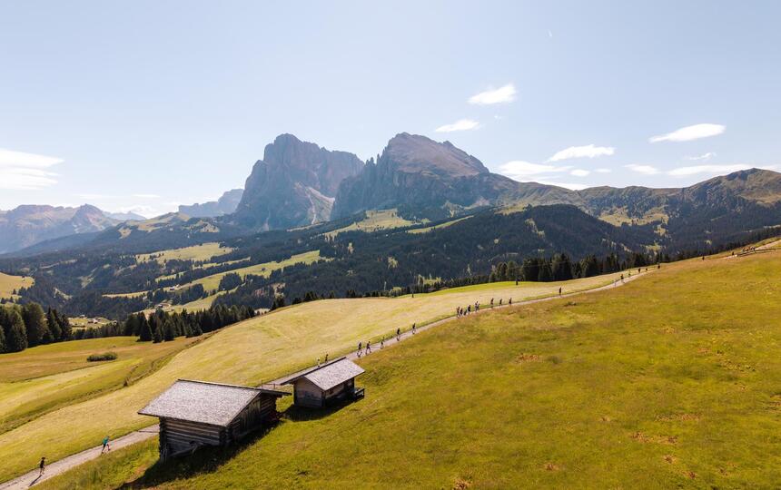 561-seiser-alm-halfmarathon-roschan-fill-highres-20260705