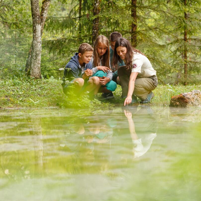 Kinder entdecken die Natur