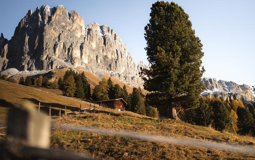 Blick auf den Rosengarten