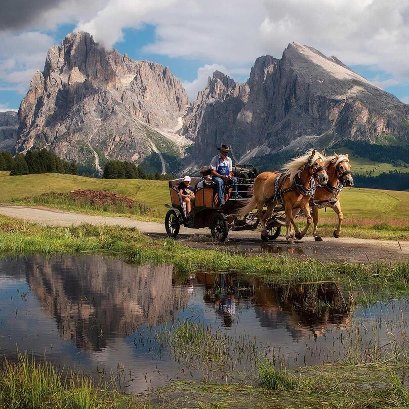 Una famiglia percorre un sentiero sull’Alpe di Siusi in carrozza trainata da cavalli