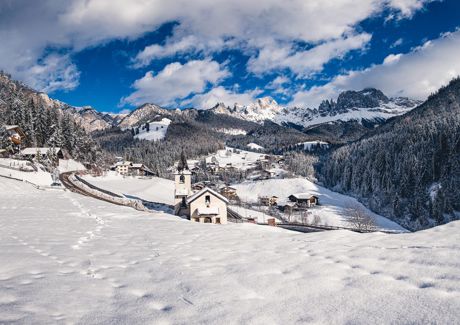 sam-fruehlingsbilder-nachbearbeitet-roschanfill-37