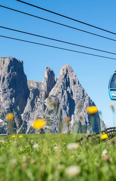 Hikers and sports enthusiasts with the cable car to the Seiser Alm in the Dolomites