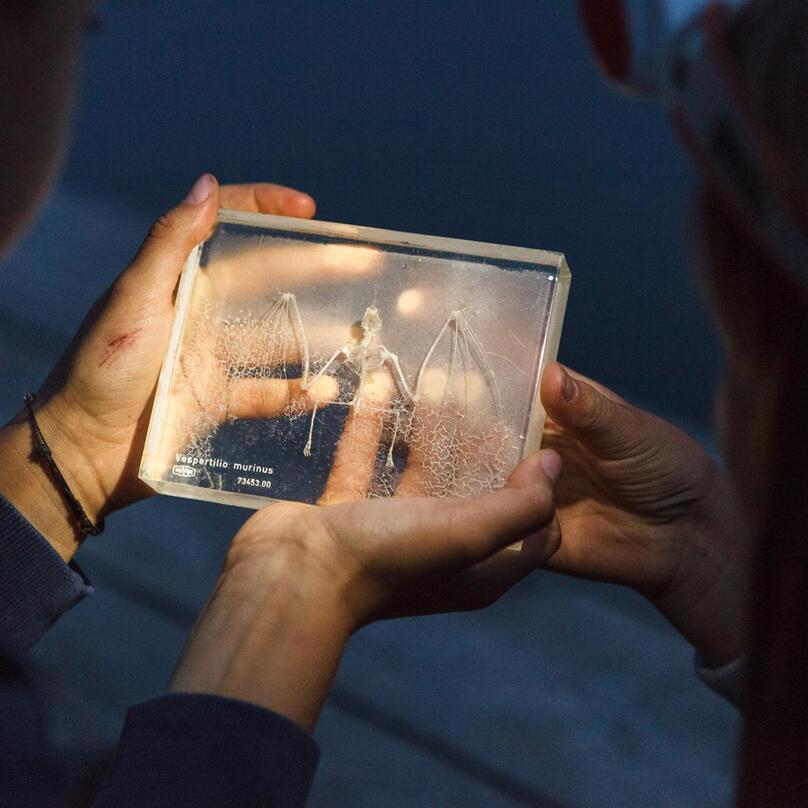 dolomiti-ranger-2018-seiser-alm-marketing-idm-suedtirol-wild-zoo-entertainment-1