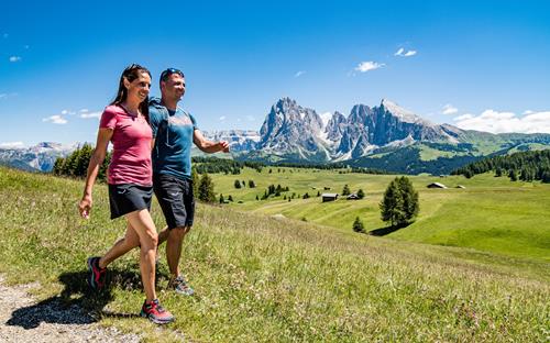 Hiking Holidays in the Dolomites, Alpe di Siusi, Italy