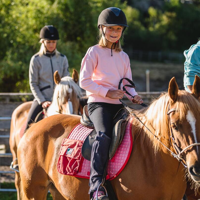 Un gruppo di persone cavalca dei cavalli