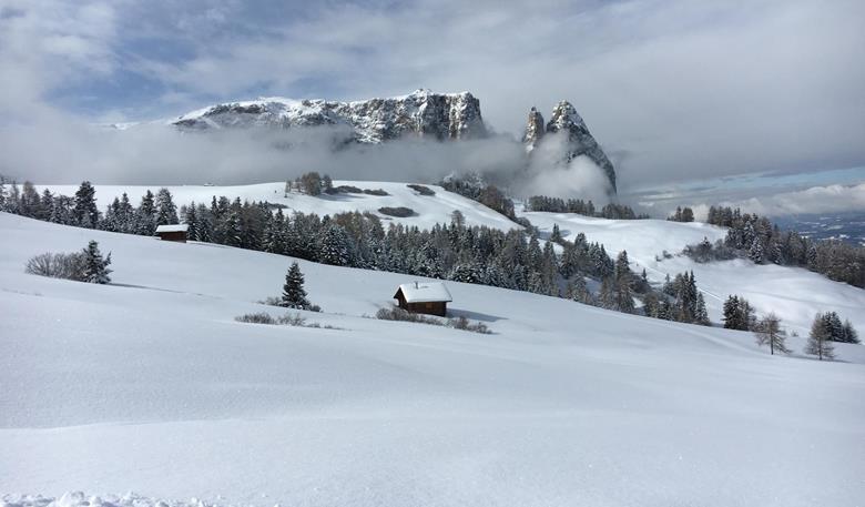 Niederschlagsvorhersage & Niederschlagsradar für Südtirol