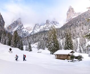 Zwei Personen beim Schneeschuhwandern