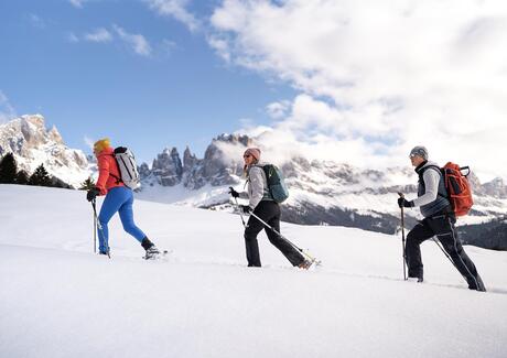 070-schneeschuhwandern-roschan-fill-20260202
