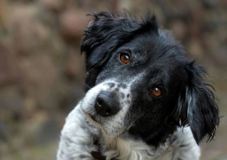 pexels-guvo59-29330194