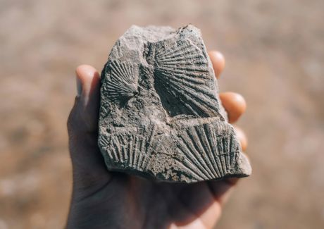 pexels-james-collington-2147687246-32608402