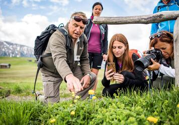 A group of people is photographing flowers in a meadow