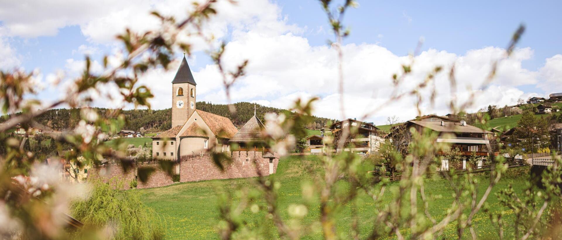Blühende Wiese, im Hintergrund die Pfarrkirche von Seis am Schlern