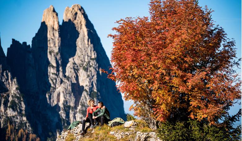 Autumn in the Dolomites region Seiser Alm