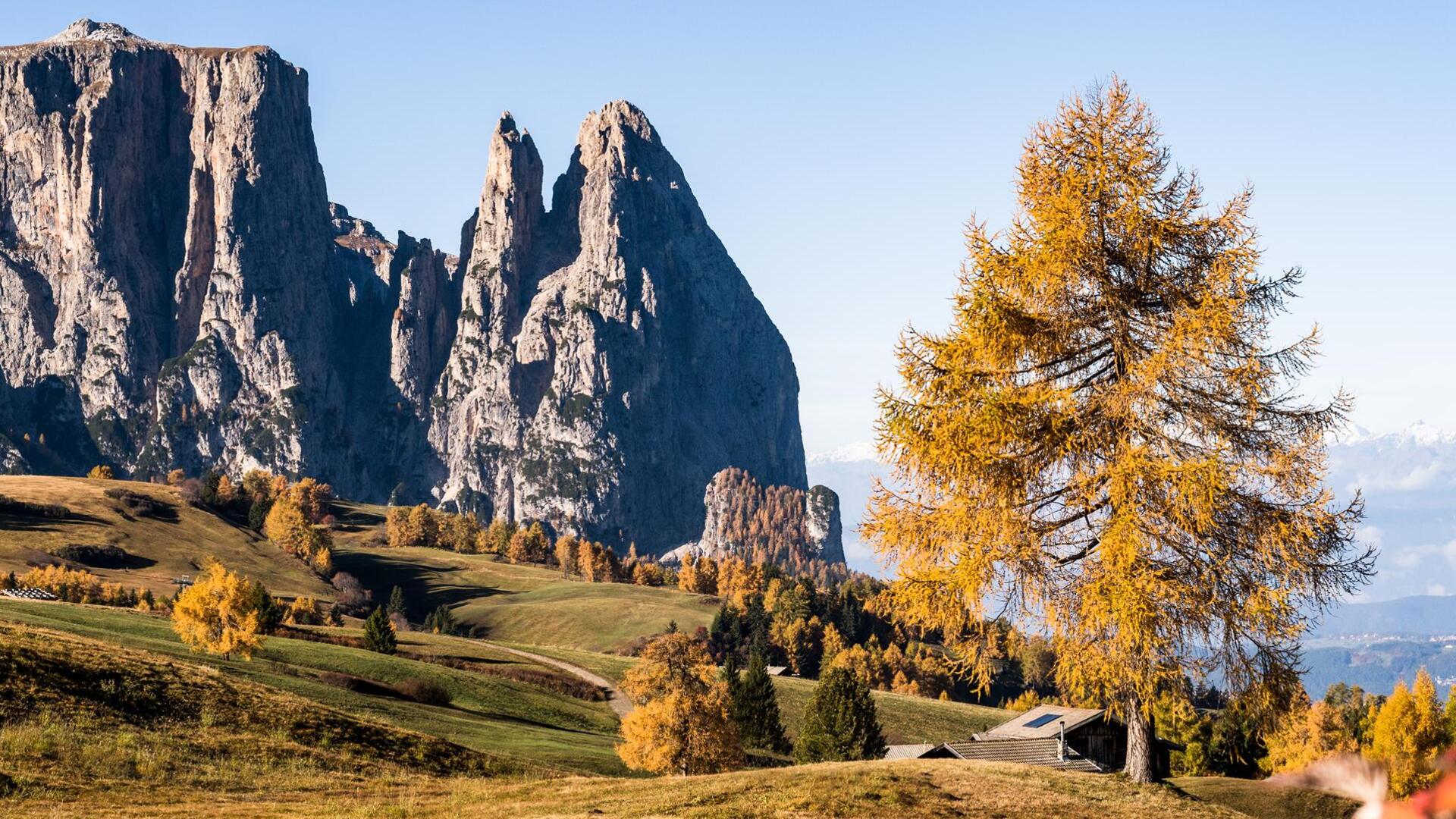 Blick auf den Schlern