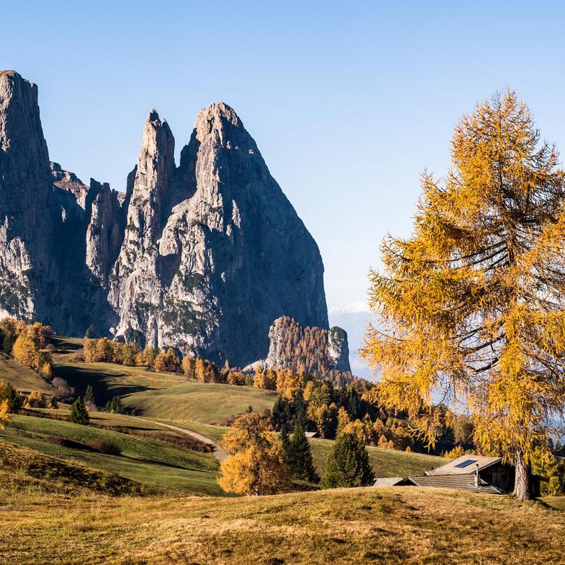 Blick auf den Schlern
