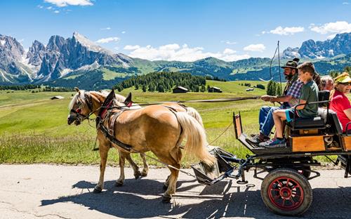 Romantiche gite in carrozza sull'Alpe di Siusi nel cuore delle Dolomiti