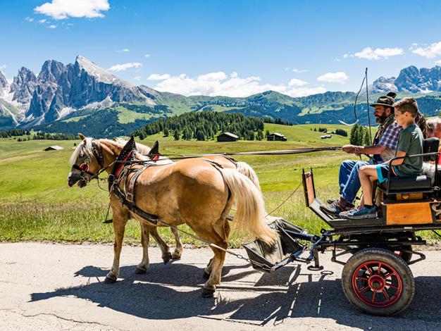 Romantiche gite in carrozza sull'Alpe di Siusi nel cuore delle Dolomiti