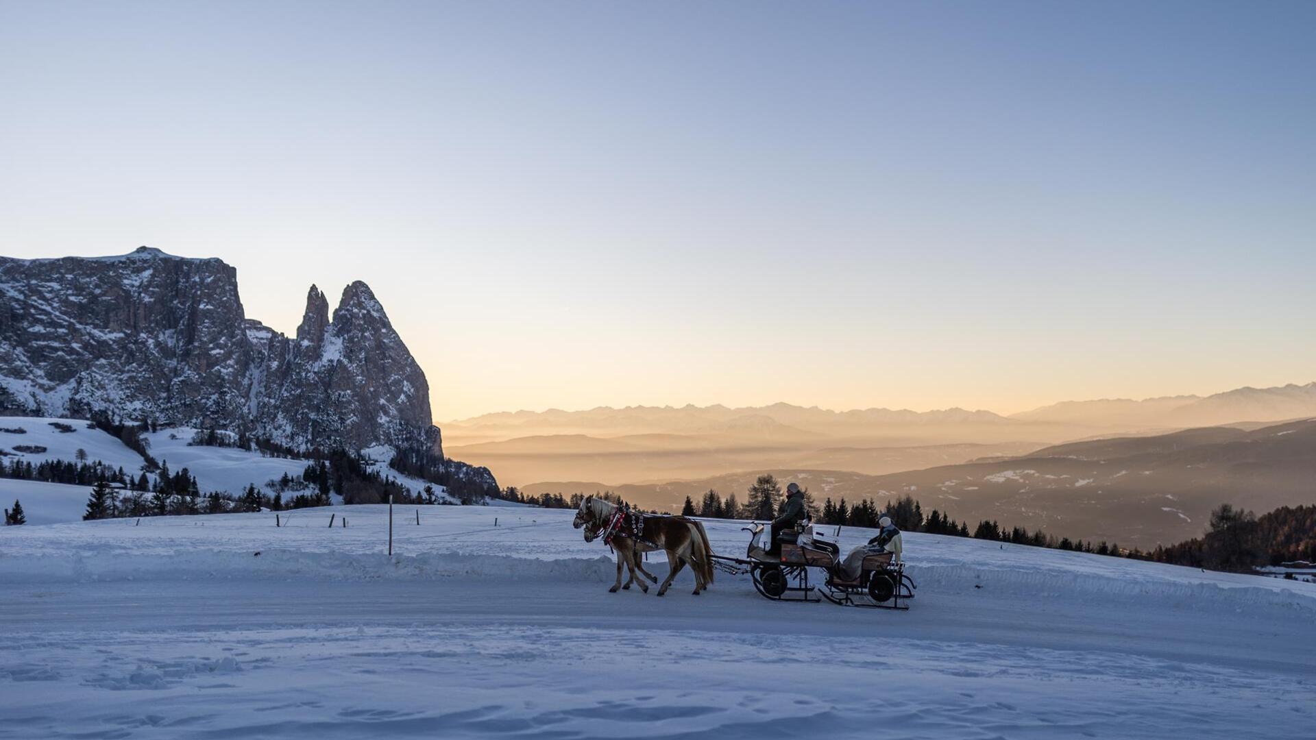 A family is riding along a path in the snow on the Seiser Alm in a horse-drawn carriage