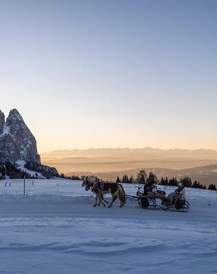 A family is riding along a path in the snow on the Seiser Alm in a horse-drawn carriage