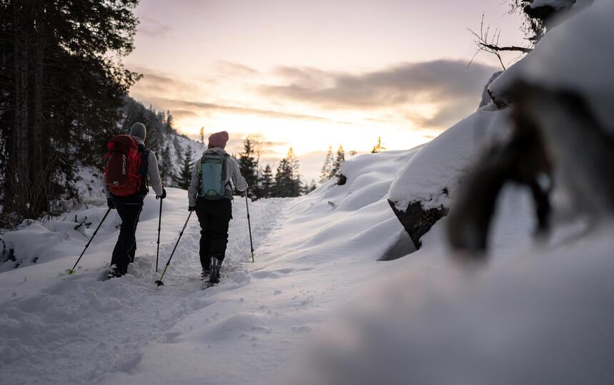 Zwei Personen beim Schneeschuhwandern