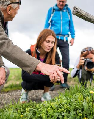 Un gruppo di persone fotografa fiori in un prato