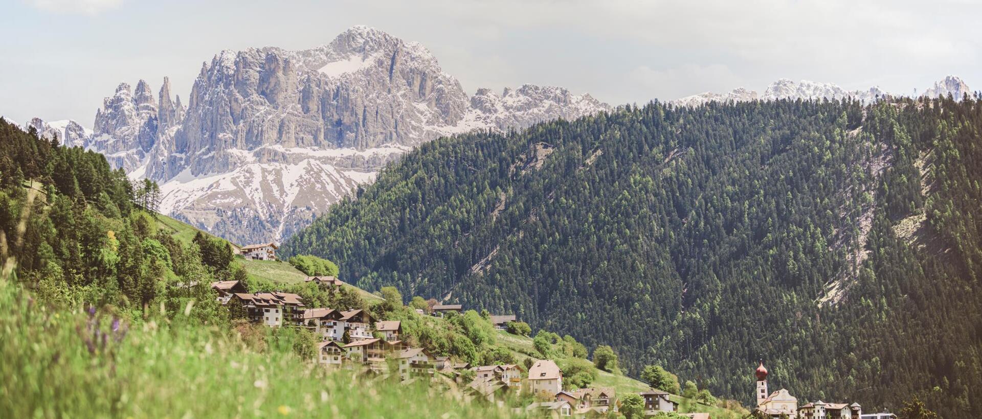 sam-fruehlingsbilder-nachbearbeitet-roschanfill-73