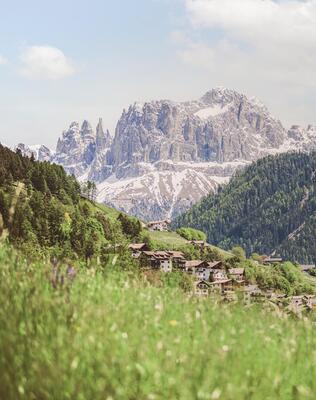 sam-fruehlingsbilder-nachbearbeitet-roschanfill-73