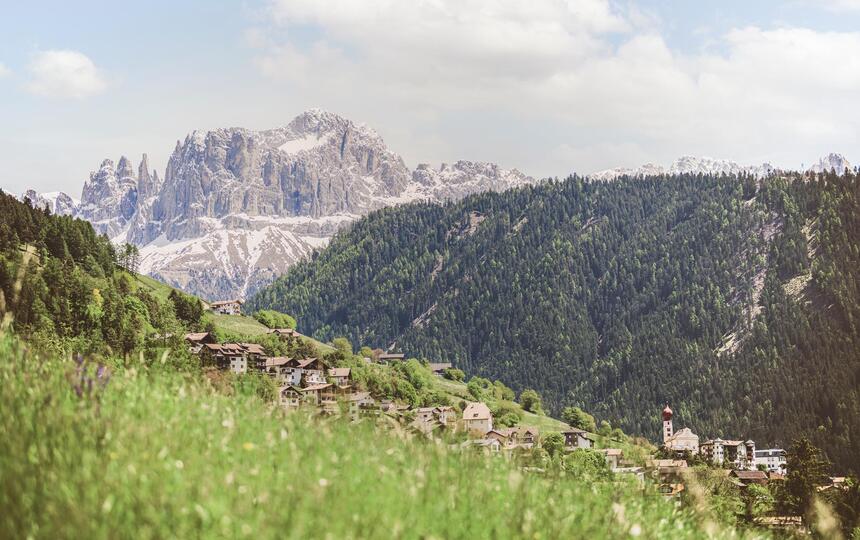 Tiers am Rosengarten
