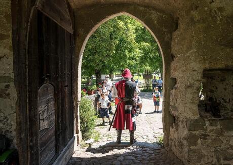 Il cavaliere Friedrich