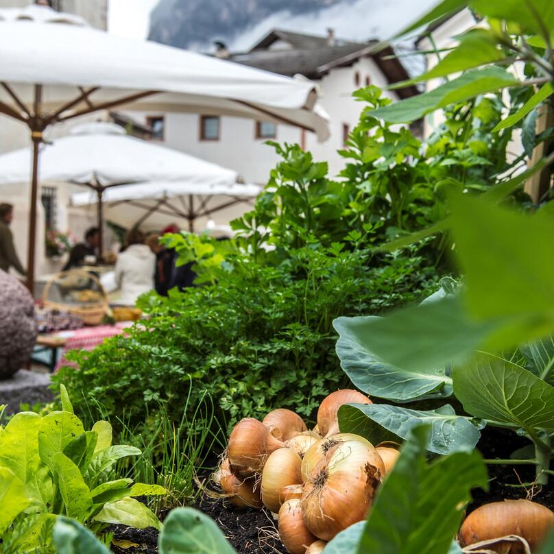 seiser-alm-marketing-helmuth-rier-2