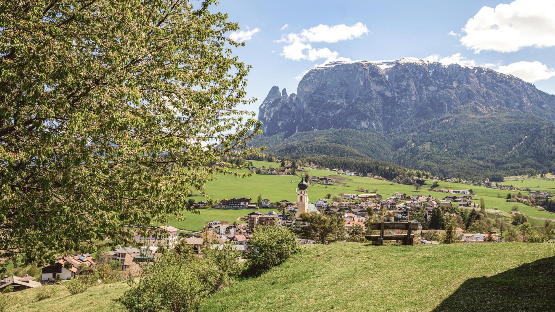 sam-fru-hlingsbilder-nachbearbeitet-roschanfill-12