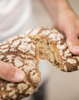 A man is breaking a Vinschgau bread