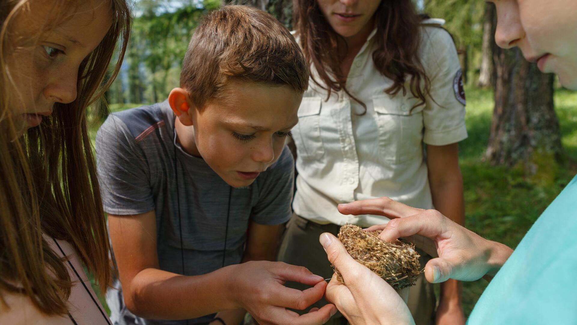 Kinder entdecken die Natur