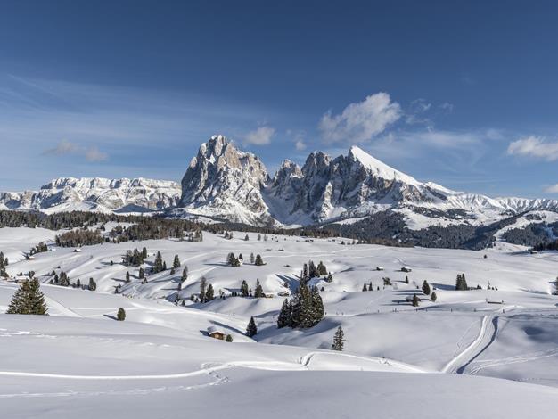 Paradiso invernale sull'Alpe di Siusi nelle Dolomiti