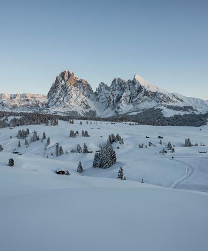 Un sogno: una settimana bianca in Trentino-Alto Adige.