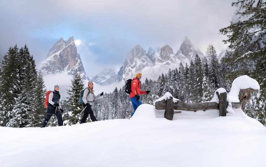 Eine Gruppe von Personen beim Schneeschuhwandern