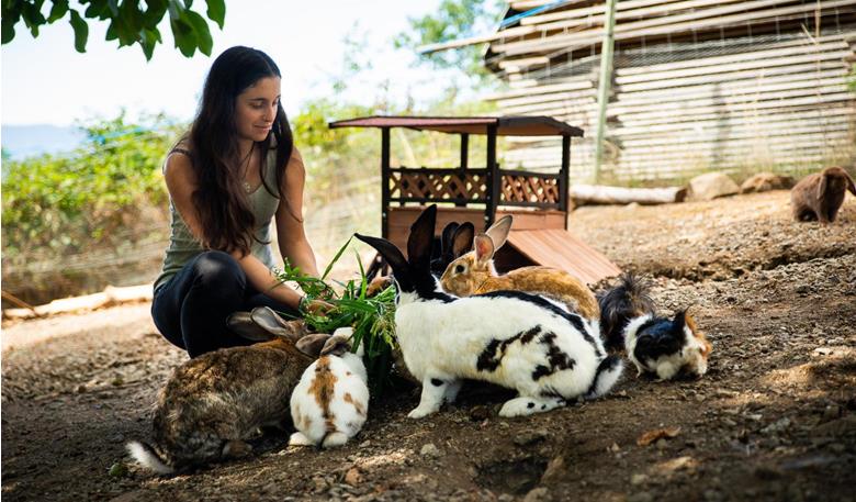 Incontro con gli animali al maso