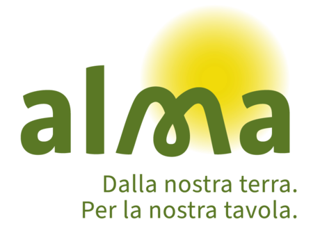 alma-logo-it-gruen