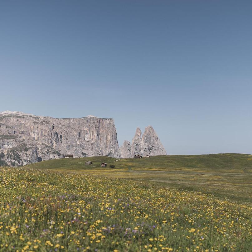 027-sam-hike-kottersteger-250619-kot-6978-3712