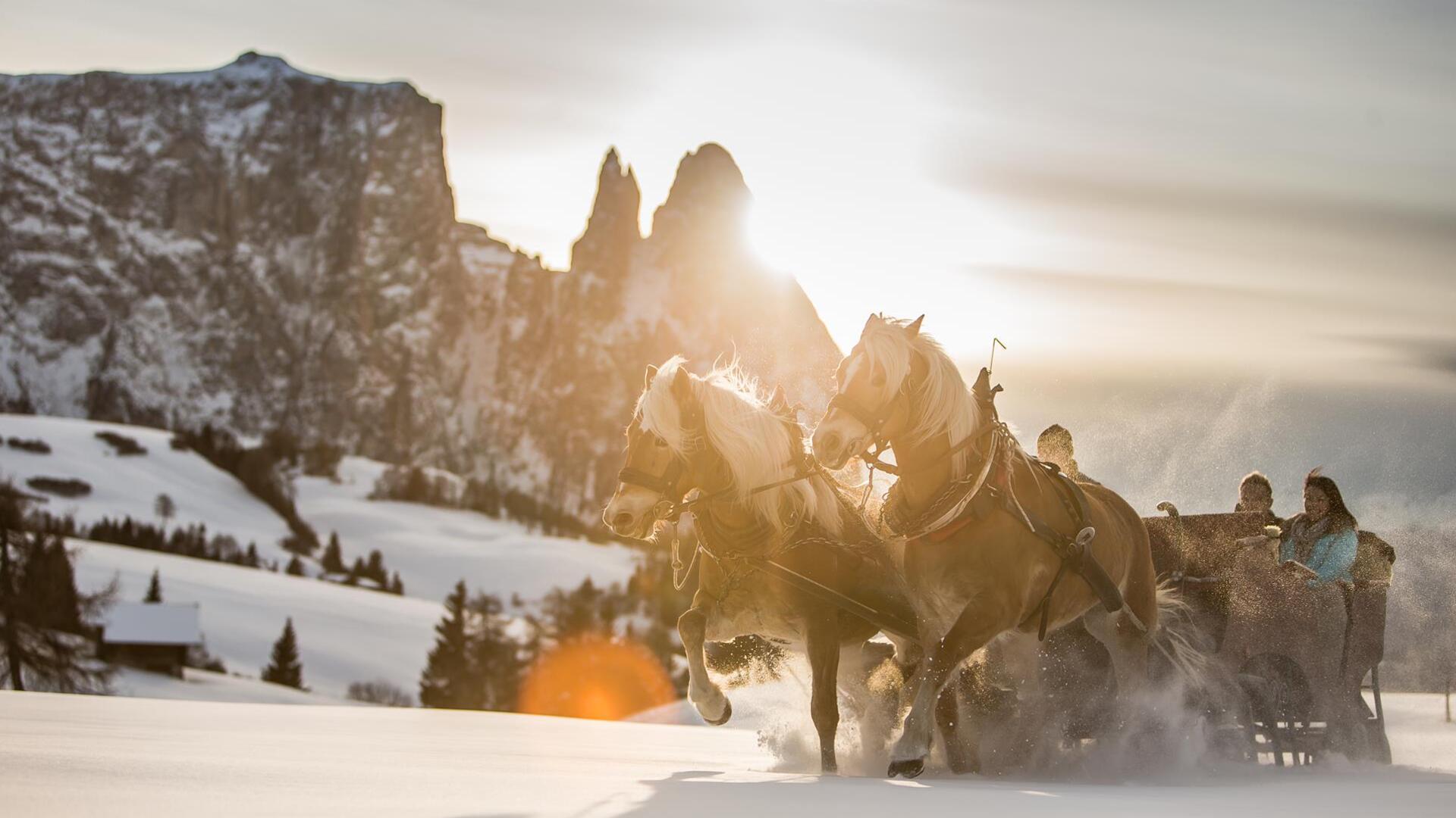 A man and a woman are on a horse-drawn sleigh, with Mount Schlern in the background