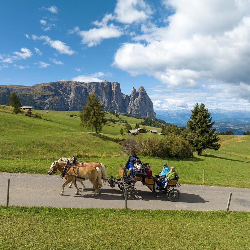 Un gruppo di persone percorre un sentiero sull’Alpe di Siusi in carrozza trainata da cavalli