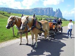 Horse carriage ride Richard Stufferin