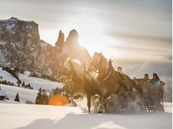 Horse carriage ride Klaus Trocker