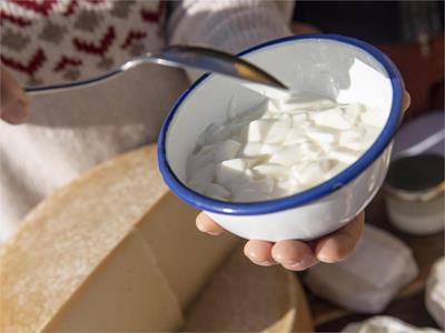 Festival del gusto Dolomites: Dal latte al formaggio - malga Gostner